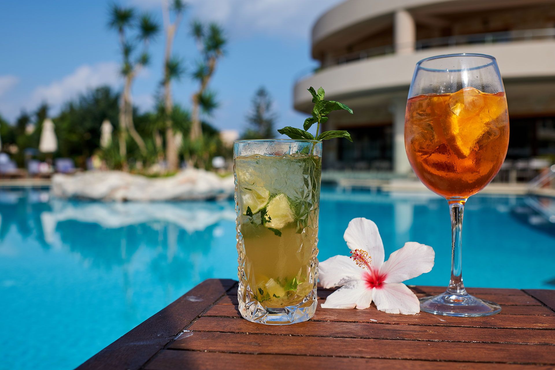 Cactus Royal Pool Bar