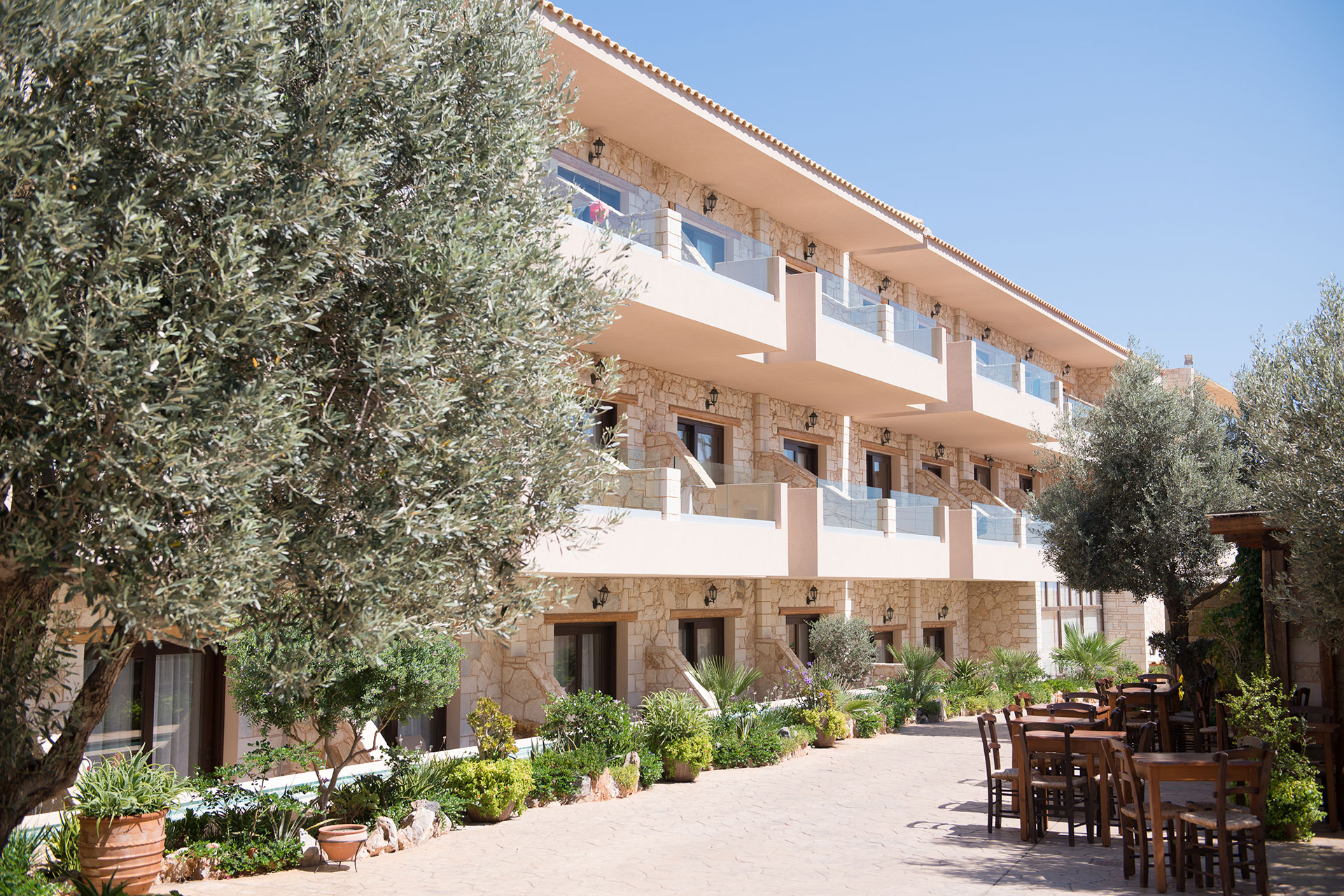 Ξενοδοχείο με ελαιόδεντρο και παραδοσιακό ελληνικό καφενείο, στην Σταλίδα Κρήτη