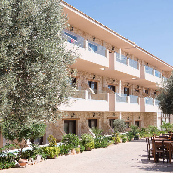 Resort with olive tree traditional Greek kafenio, in Stalis Crete