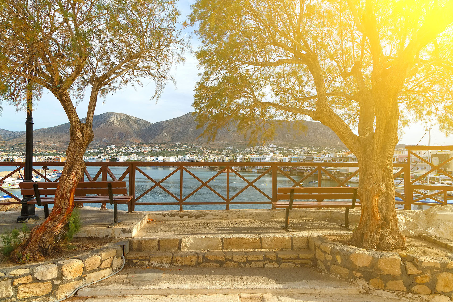 Benches overlooking the sea and shaded by trees