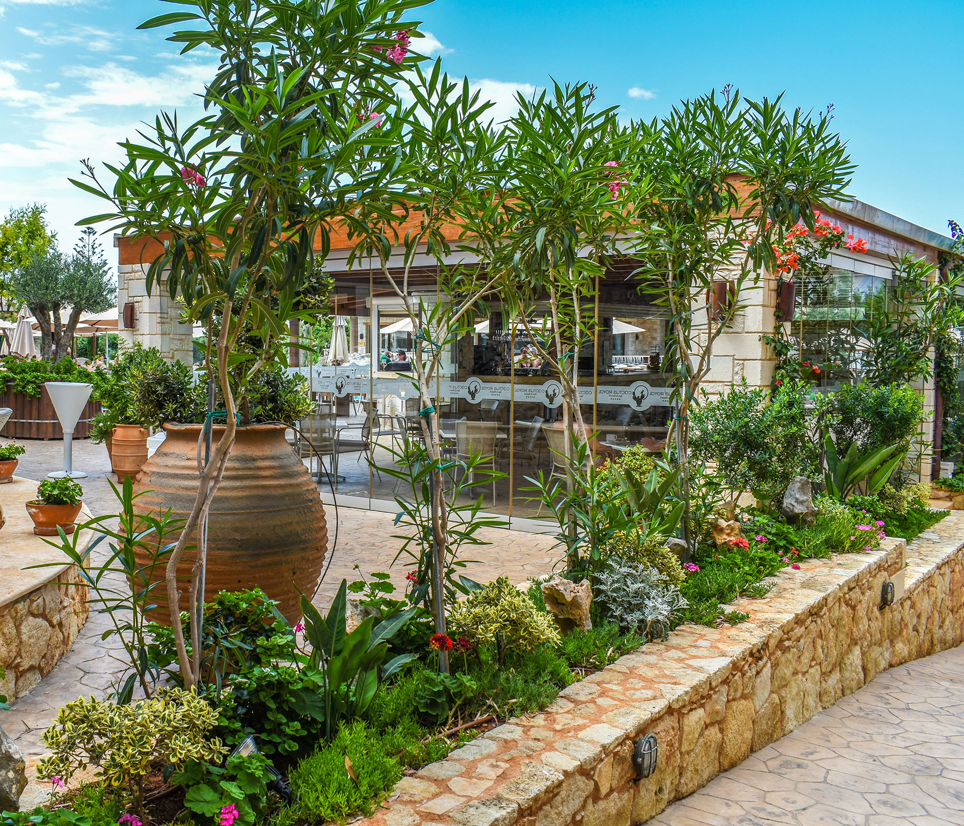 Cactus Royal Pool Bar